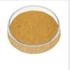 ヨウ化コバルト（CoI2）-粉末