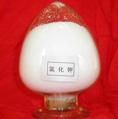 塩化カリウム（KCl）-粉末